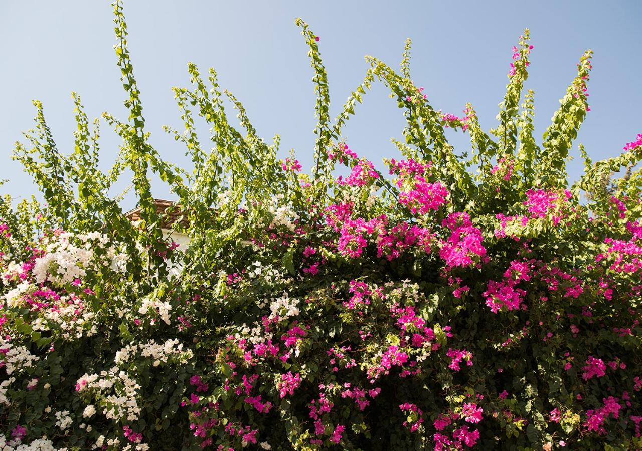 Hotel Karia Princess Bodrum Exterior foto